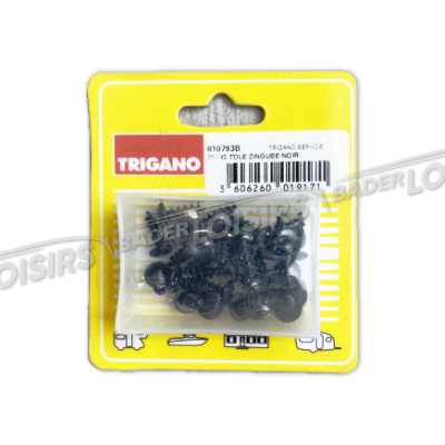  TRIGANO FULL SERVICE  25 VIS TOLE ZINGUEE NOIR