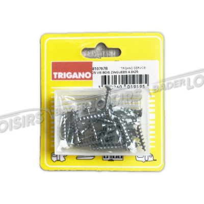  TRIGANO FULL SERVICE  VIS A TOLE ZINGUE 43X25  SKINPACK DE 25